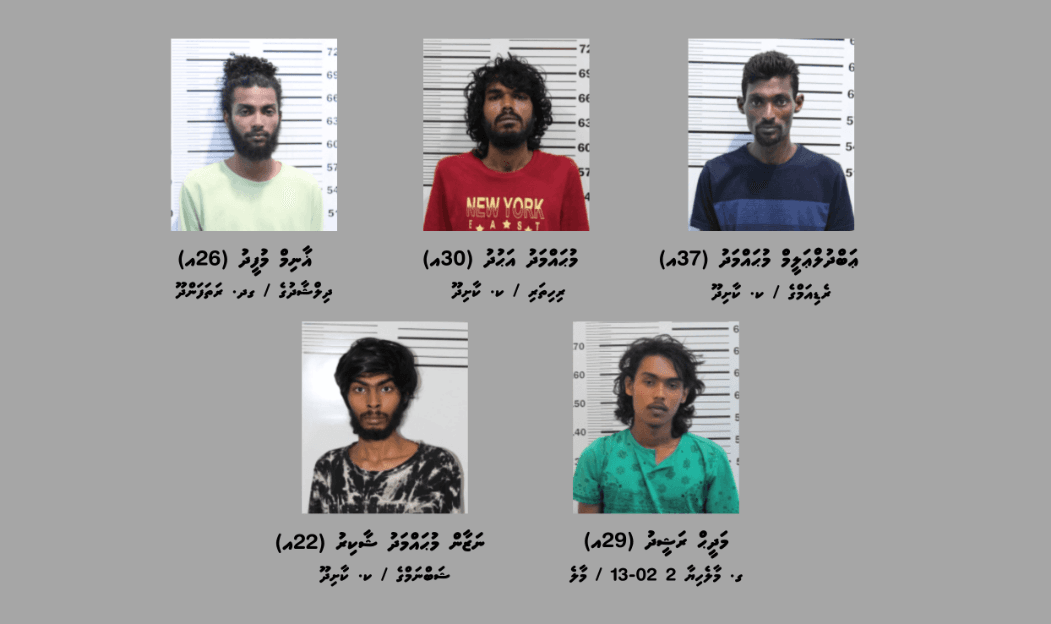 ކާށިދޫއިން ޑްރަގް ނެޓްވޯކެއްކަމަށް ތުހުމަތުވާ ބަޔަކު އަތުލައިގެންފި