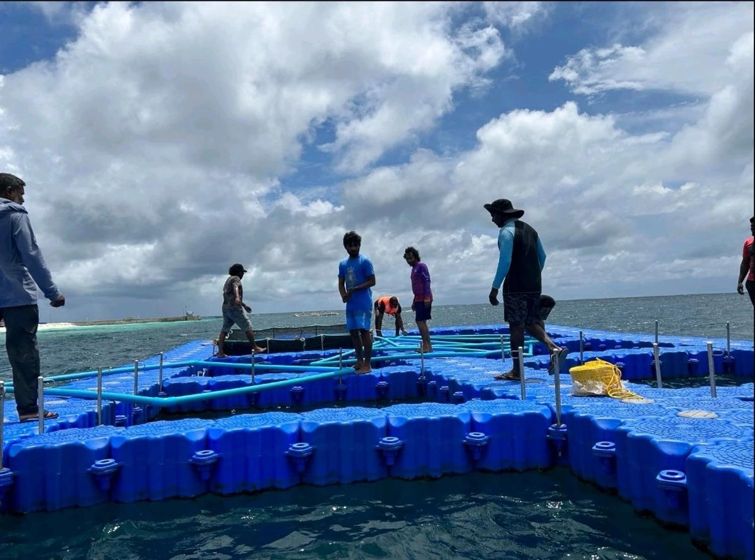  Government Announces Development of Mariculture Zones in the Maldives