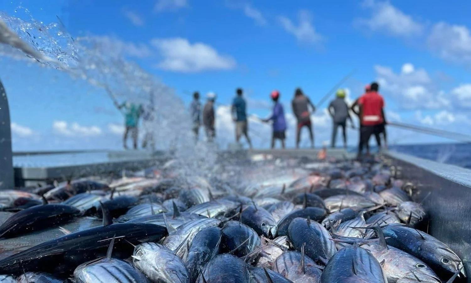 Vice President Latheef Highlights Importance of Technology in Advancing Maldives' Fishery Sector