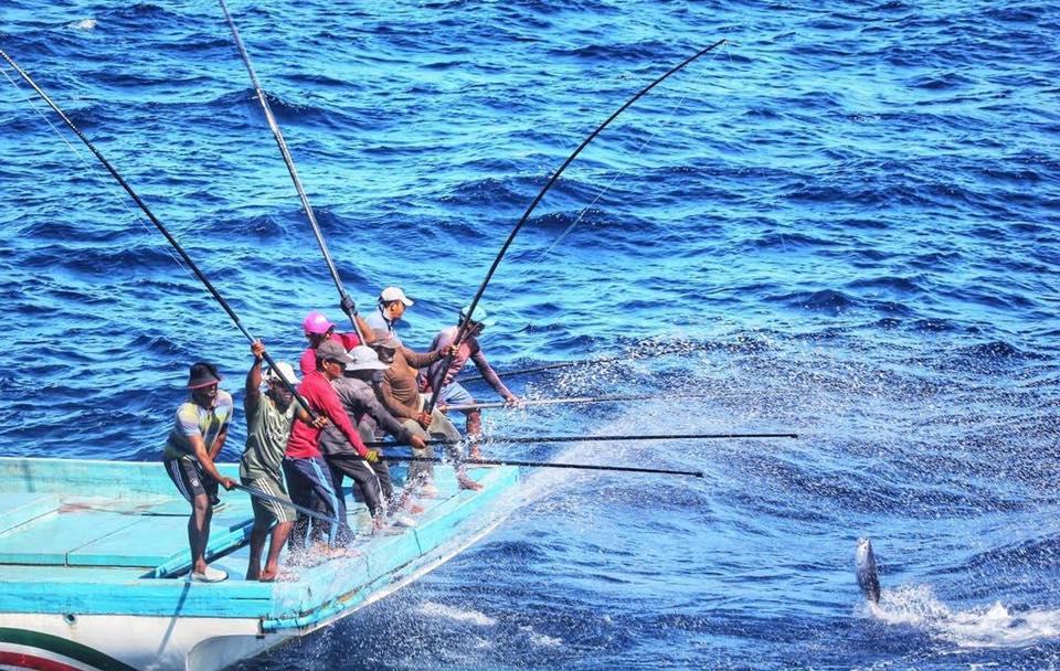 މަސްވެރިން ކުރާ ބުރަ މަސައްކަތުގެ އަގު އިޙްތިރާމާއެކު ވަޒަންކުރުމަކީ ގައުމީ ވާޖިބެއް: ރައީސް