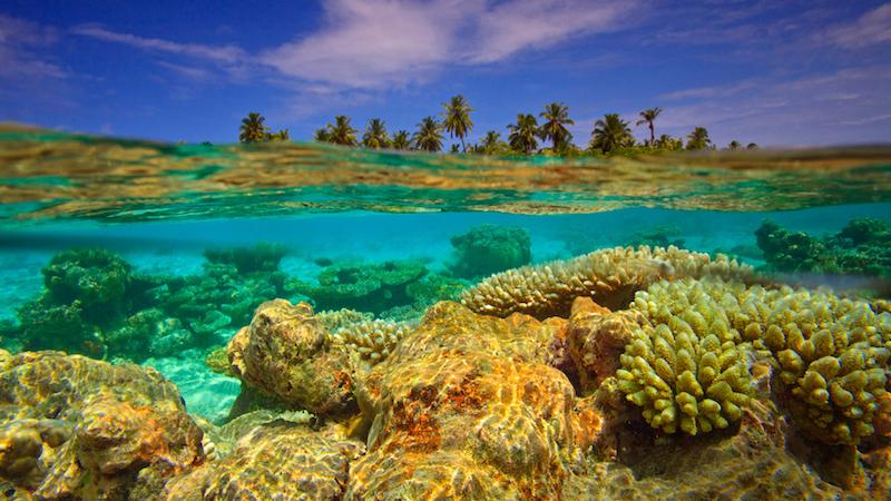 The Sinking Paradise: How Climate Change and Rising Sea Levels Threaten the Maldives