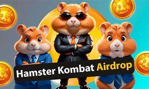  Photo by - HamsterKombat Community