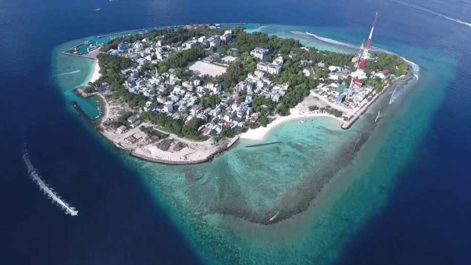 ވިލިމާލޭގައި މޫދަށްއެރި އުޅުނު މީހަކު އޮޔާދަނިކޮށް ސަލާމަތްކޮށްފި