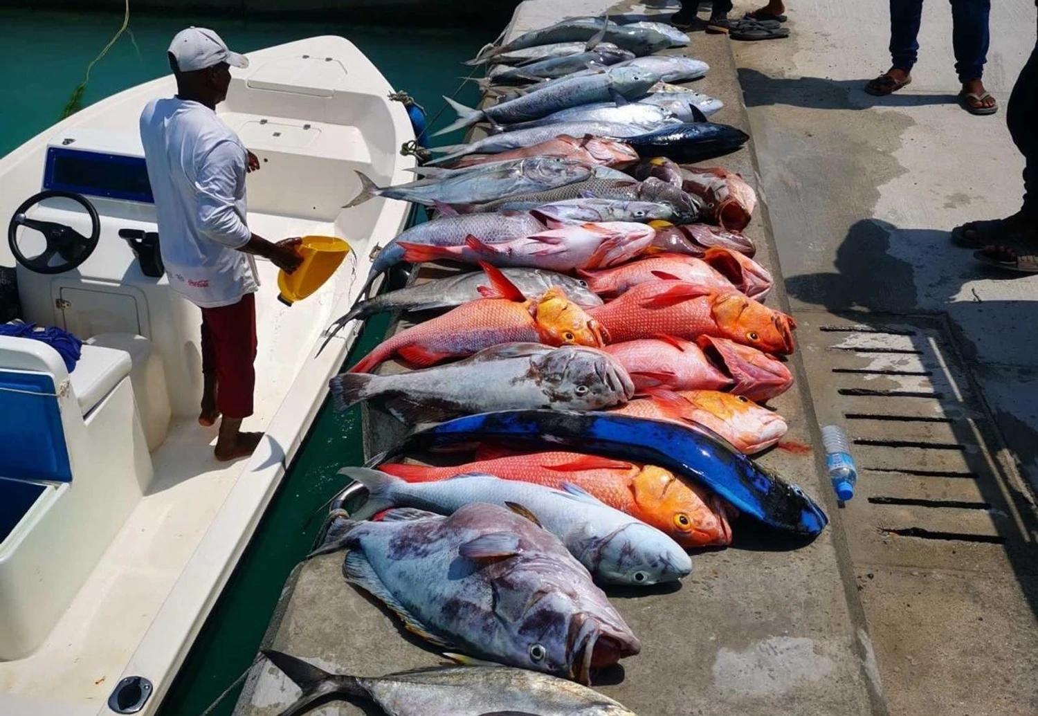 ފަރުމަސް އާލާކުރުމުގެ ހުނަރު އުނގަންނައިދޭ ޕްރޮގްރާމަށް ފުރުސަތު ހުޅުވާލައިފި 