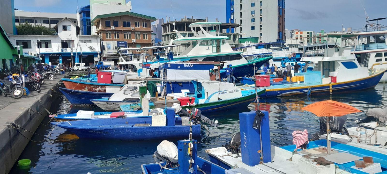 14.6 މިލިއަން ރުފިޔާ މަސްވެރިންނަށް ދޫކޮށްފި 