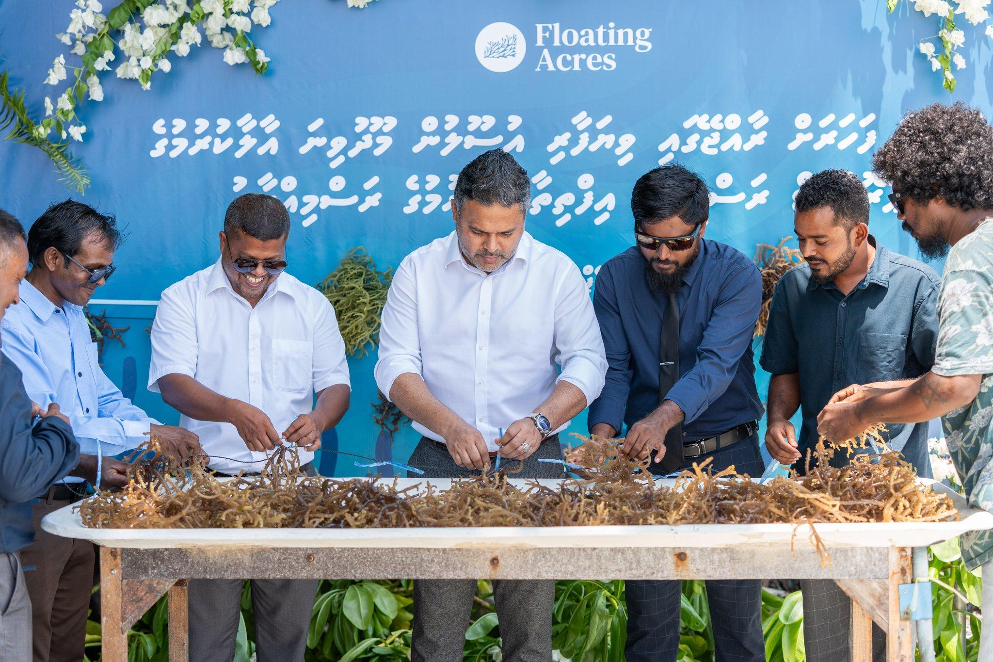 ވިޔަފާރި އުސޫލުން ފެހެންދޫގައި މޫދުވިނަ އާލާކުރަނީ 