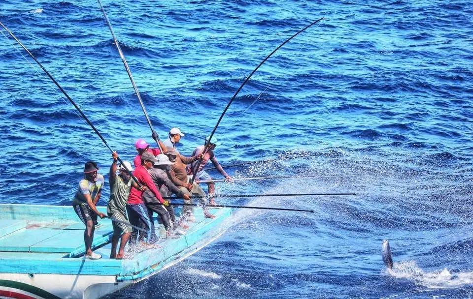މަސްވެރިންގެ ދަފުތަރުގައި މަސްވެރި ދޯނިތަކުގެ 95 އިންސައްތަ ރަޖިސްޓްރީކޮށްފި 