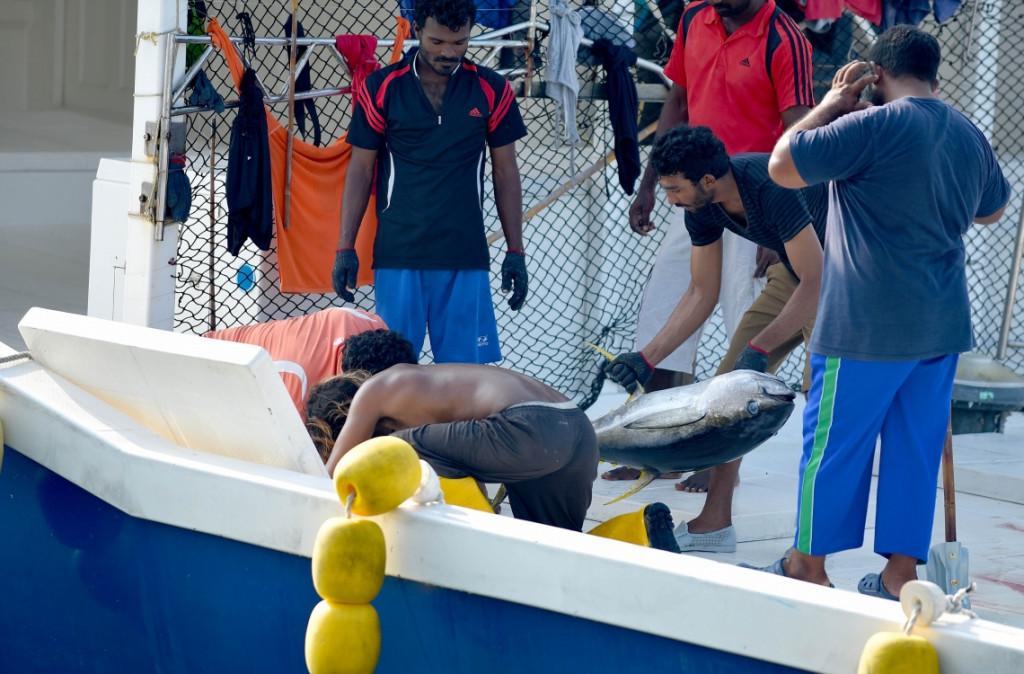 ޤަވާއިދުން ފައިސާ ދޭން ފެށުމުން މަސްވެރިކަމަށް ނިކުންނަ ޒުވާނުން އިތުރުވެއްޖެ 