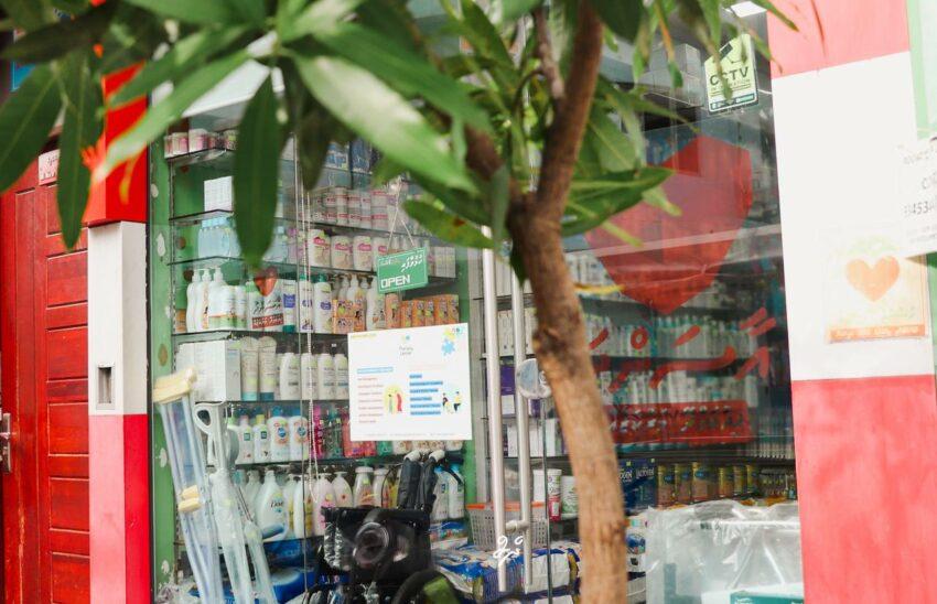 ރާއްޖެއަށް ބޭސް އެތެރެކުރުމަށް ޙާއްޞަ ކުންފުންޏެއް އުފައްދަނީ 