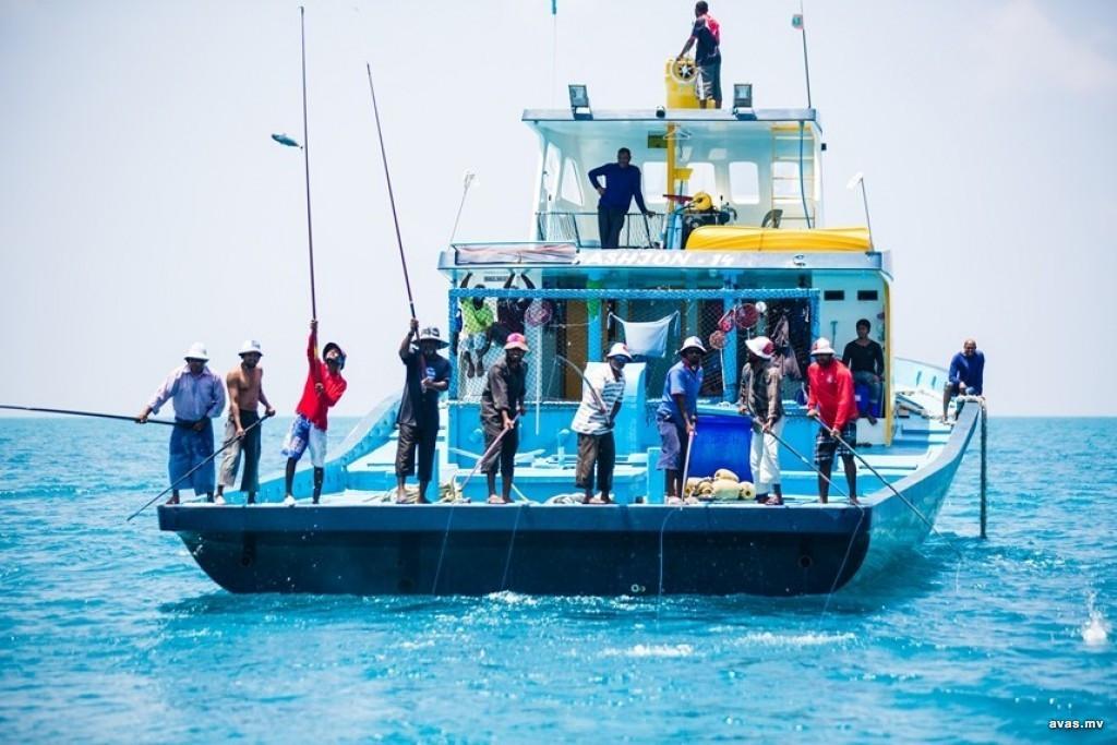 ނިމުނު ހަފްތާގައި މަސްވެރިންނަށް  11.6 މިލިޔަން ރުފިޔާ ދޫކުރި 