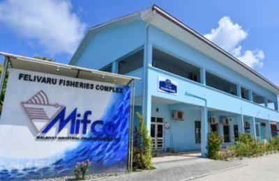 ފެލިވަރަށް 47 އަހަރު, އަދިވެސް އޮތީ އޮތްގޮތަށް – މިނިސްޓަރ