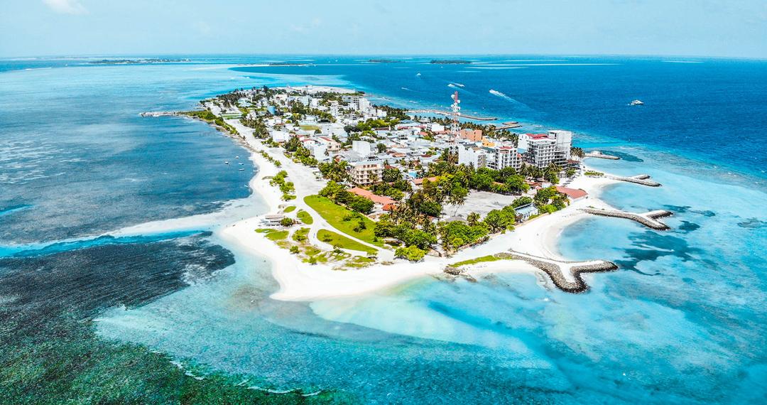 ޗައިނާގެ ފަތުރުވެރިއަކަށް މިޔަރެއް ޙަމަލާދީގެން ފަރުވާދެނީ