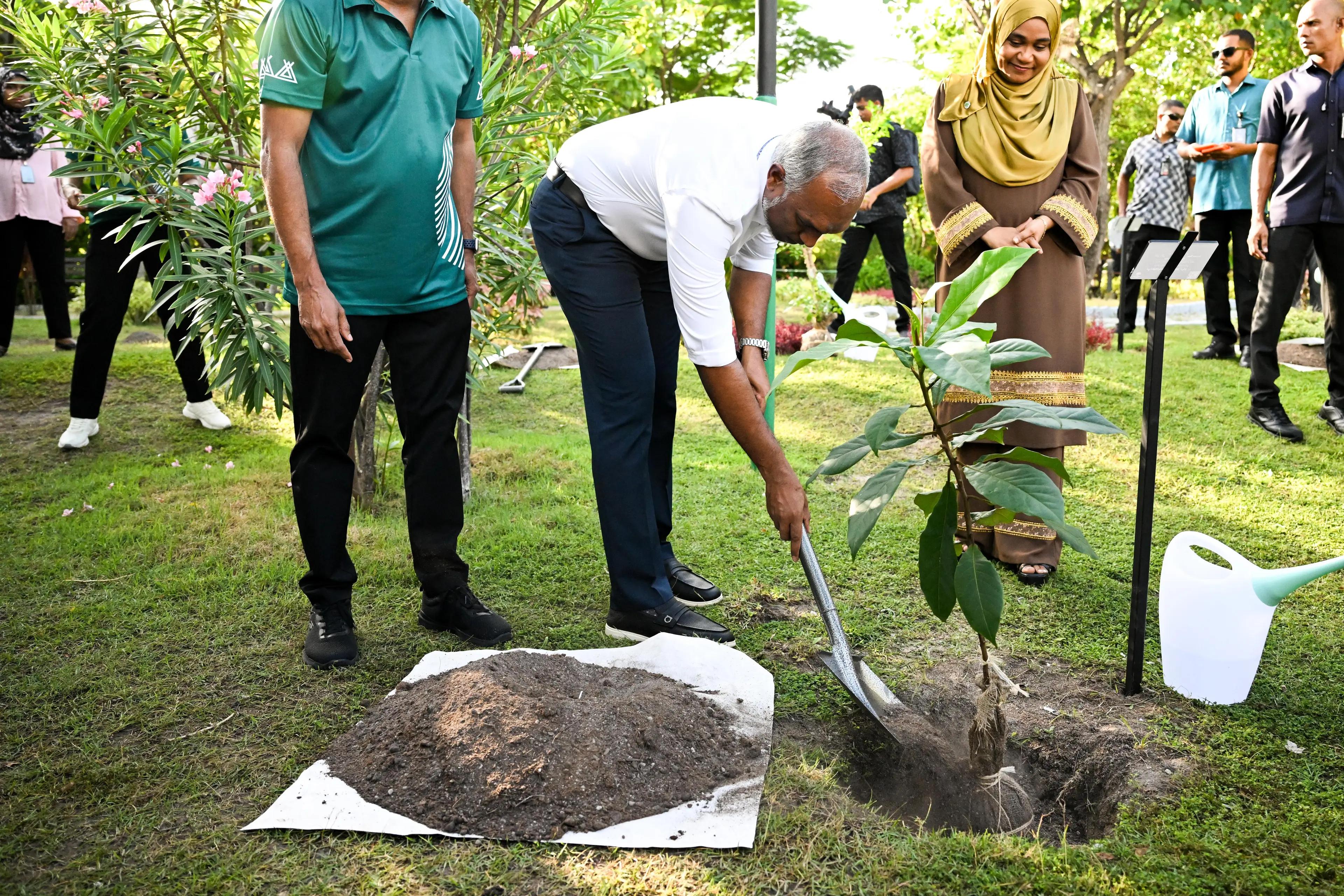 ސްޓެލްކޯއިން 74،000 އަށްވުރެ ގިނަ ގަސް އިންދައިފި