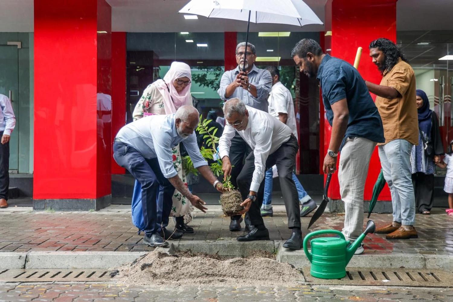 ވިލިމާލޭގައި 500 ގަސް އިންދުމުގެ ބޮޑު ހަރަކާތެއް ބާއްވައިފި