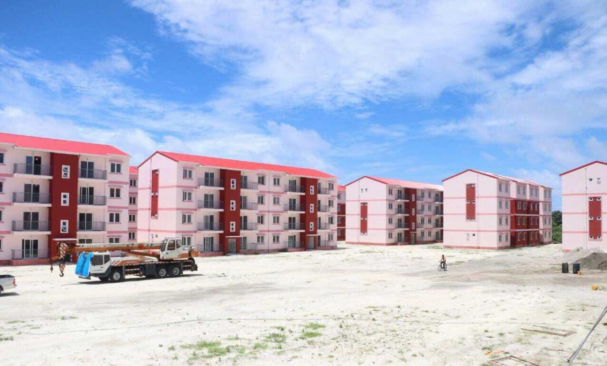 އައްޑޫ ހިތަދޫ ފްލެޓަކުން ކުޑަ އަންހެން ކުއްޖަކު ވެއްޓިއްޖެ