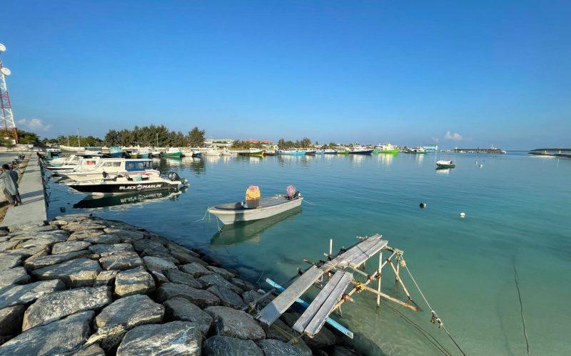 ދަންޑެހެލު ފަދައިން ހިތްވަރުގަދަ ދުވާފަރު މަސްވެރިންގެ ލޭނާރުގައި ދައުރުވަނީ ކަނދޮޅުދޫ ކާބަފައިންގެ ލޭ!