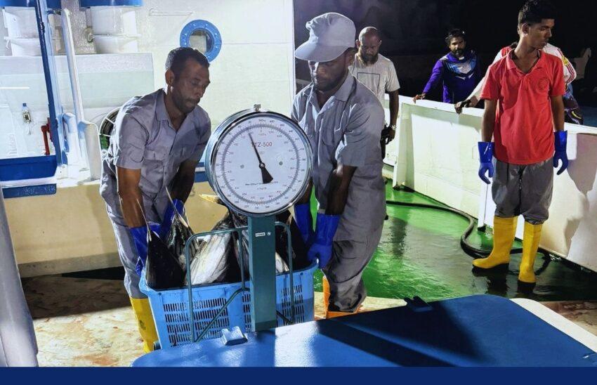 ފުވައްމުލައް މަސް ޕްރޮސެސިން ފެސިލިޓީގެ މަސައްކަތް ނިންމައި، ޚިދުމަތް ފެށުމަށް ތައްޔާރުވެއްޖެ