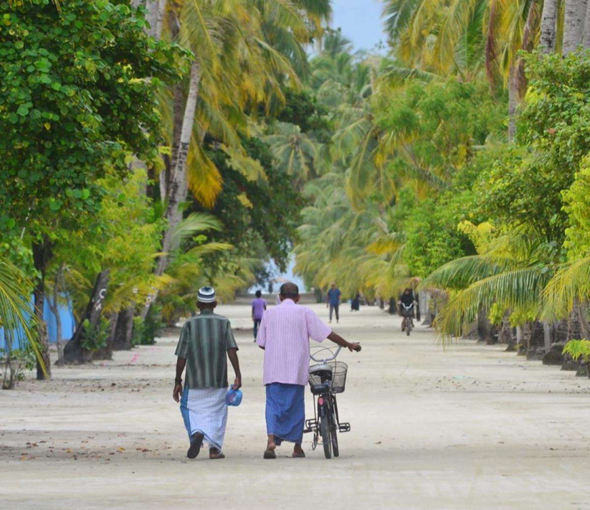 ނުކުޅެދުންތެރިކަން ހުންނަ މީހުންގެ ދަފްތަރުގައި 14566 މީހުން