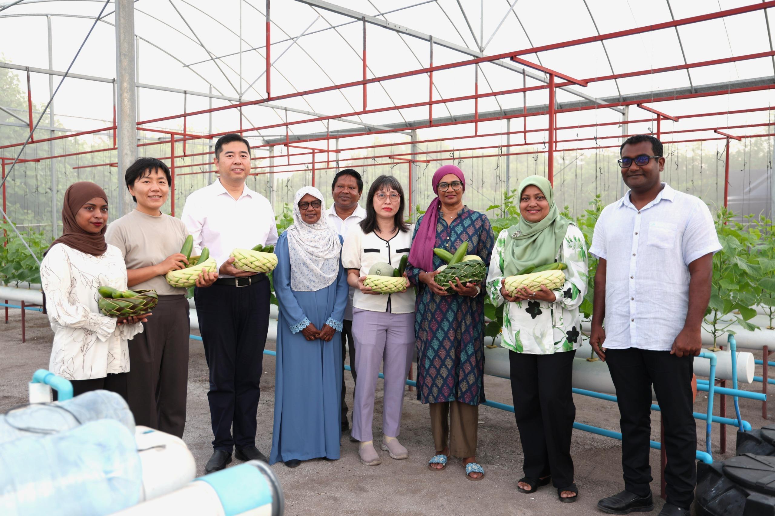 އާބާދީ ކުޑަ ވާދޫ މިއުޅެނީ ޒަމާނީ ދަނޑުވެރިކަމުގައިވެސް ކުރީގައި!