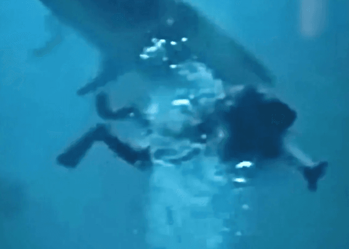 ރާއްޖޭގައި ޑައިވްކުރި ފަތުރުވެރިއަކަށް މިޔަރެއް ހަމަލާދެނީ، ފައިލް ފޮޓޯ: ފޮޓޯ-ޖެމް ޕްރެސް