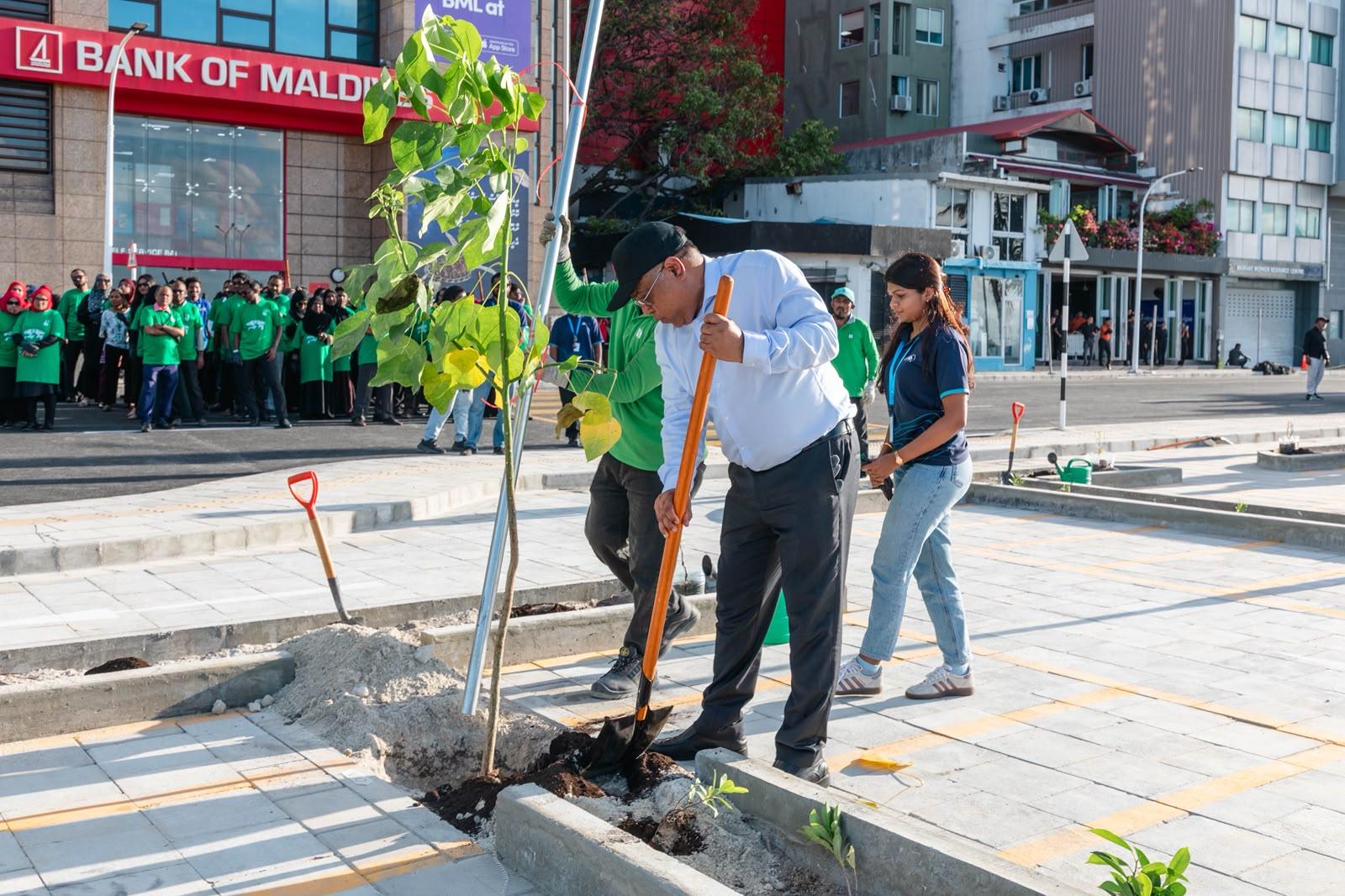 ބޮޑުތަކުރުފާނުމަގުގެ އާ ޕާކިން ޒޯންގައި ގަސް އިންދައިފި