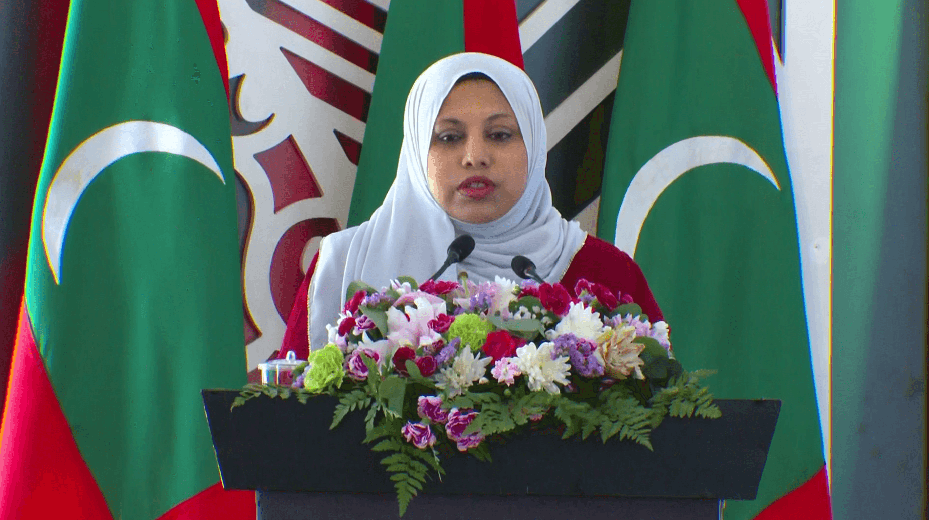 ގައުމީ ދުވަހެއް ފާހަގަ ކުރާއިރު، އެންމެ މުހިންމު ކަމަކީ ގައުމިއްޔަތު ދިރުވައި އާލާކުރުން: ވަޒީރު ހީނާ