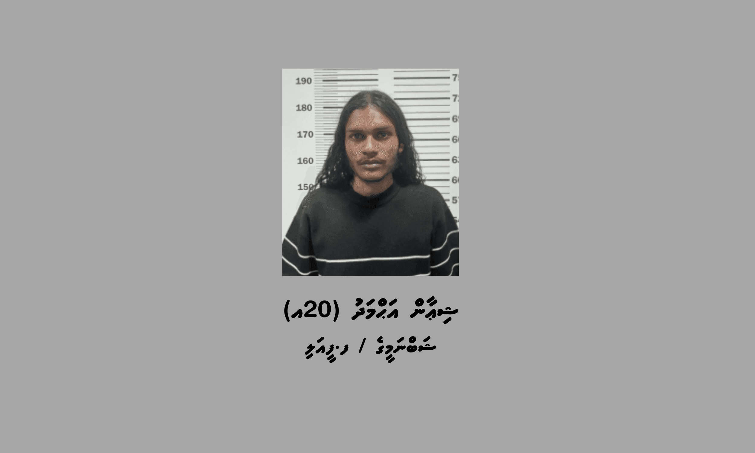 މަސްތުވާތަކެތި ވިއްކާ ވިޔަފާރި ކުރުމުގެ ތުހުމަތުގައި 26 ސެލޯފިންކޯޅާ އެކު ޒުވާނަކު ހައްޔަރު ކޮށްފި