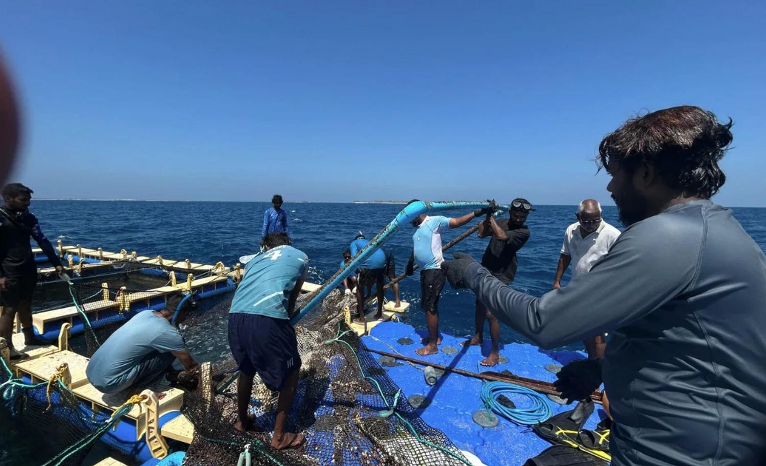 މެރިކަލްޗަރ ދާއިރާ ތަރައްގީ ކުރުމަށް އިތުރު 10 ޒޯން ކަނޑައަޅައިފި